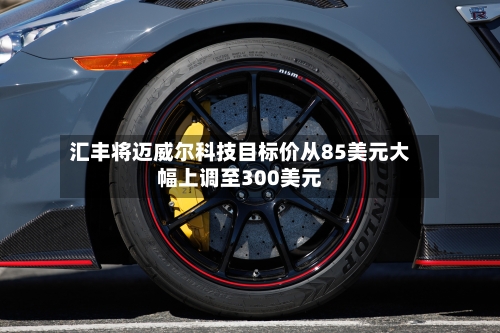 汇丰将迈威尔科技目标价从85美元大幅上调至300美元