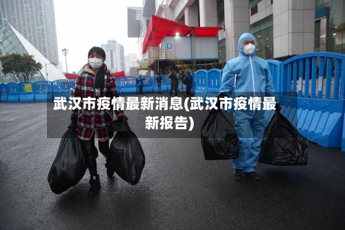 武汉市疫情最新消息(武汉市疫情最新报告)-第2张图片