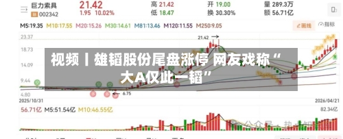 视频丨雄韬股份尾盘涨停 网友戏称“大A仅此一韬”