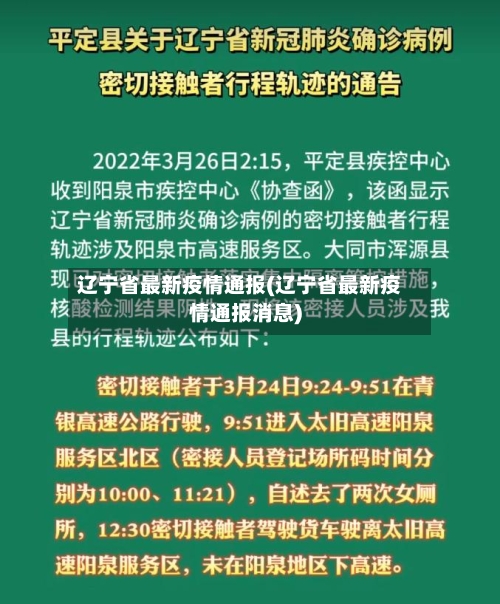 辽宁省最新疫情通报(辽宁省最新疫情通报消息)-第3张图片